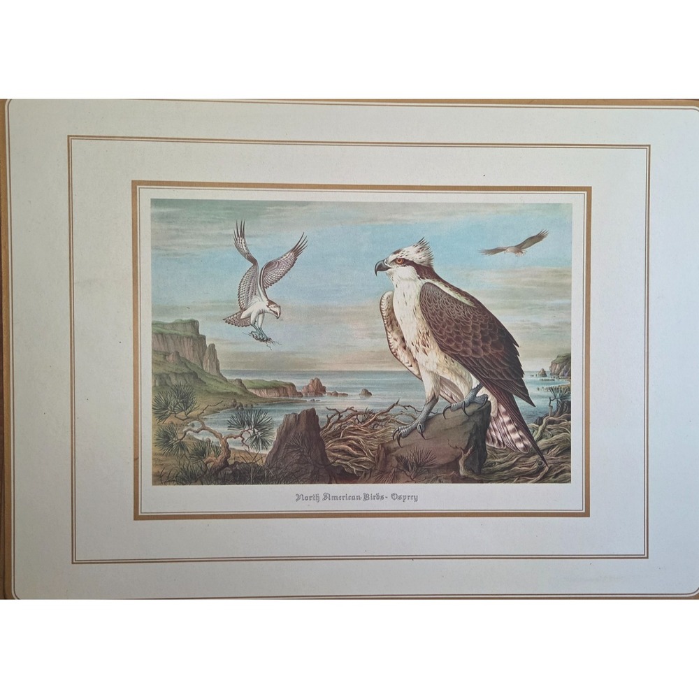 Vintage English Life Place Mats(4) Schmid Brothers-North American Birds of Prey
